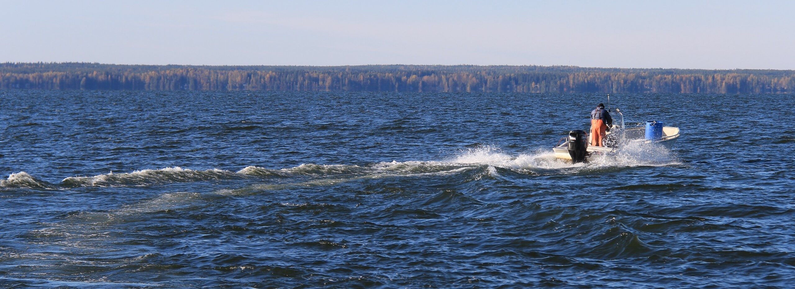 Järvikalapihvissä on särkeä – ja paljon järkeä